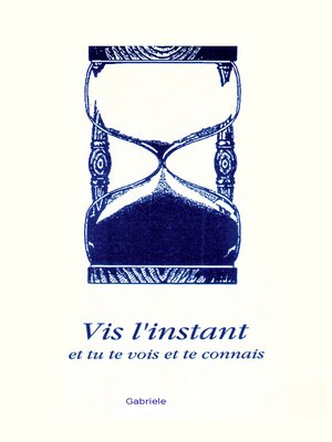 cover image of Vis l'instant